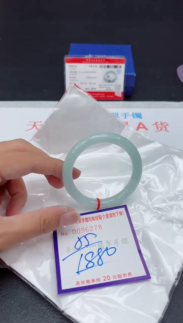 未镶嵌手镯翡翠11111111