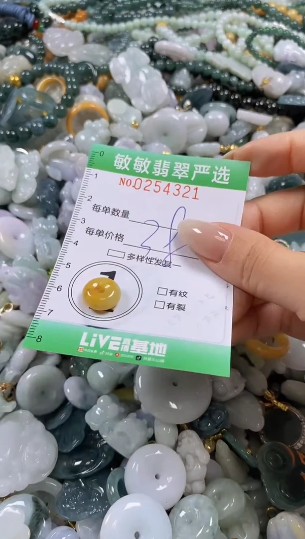 翡翠未镶嵌颈饰闪购0254321