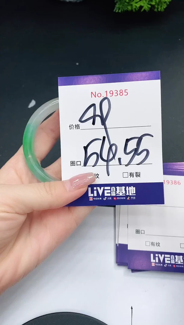 未镶嵌手镯翡翠19385
