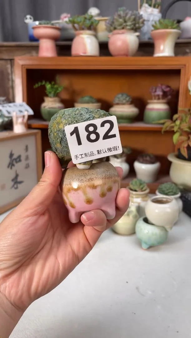 瓷片儿*儿182小芳直播编号