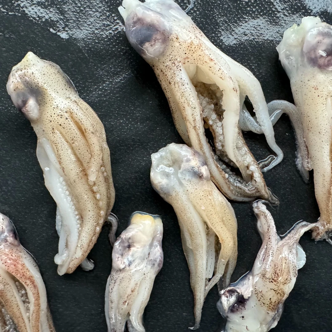 海兔头笔管鱼头速冻发货3斤装山东日照顺丰包邮