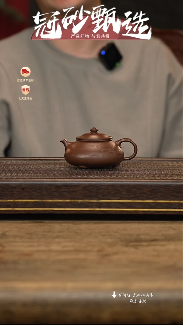 茶壶紫砂许欢紫砂12