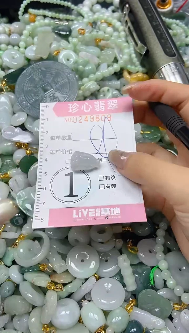 翡翠未镶嵌颈饰闪购0249809