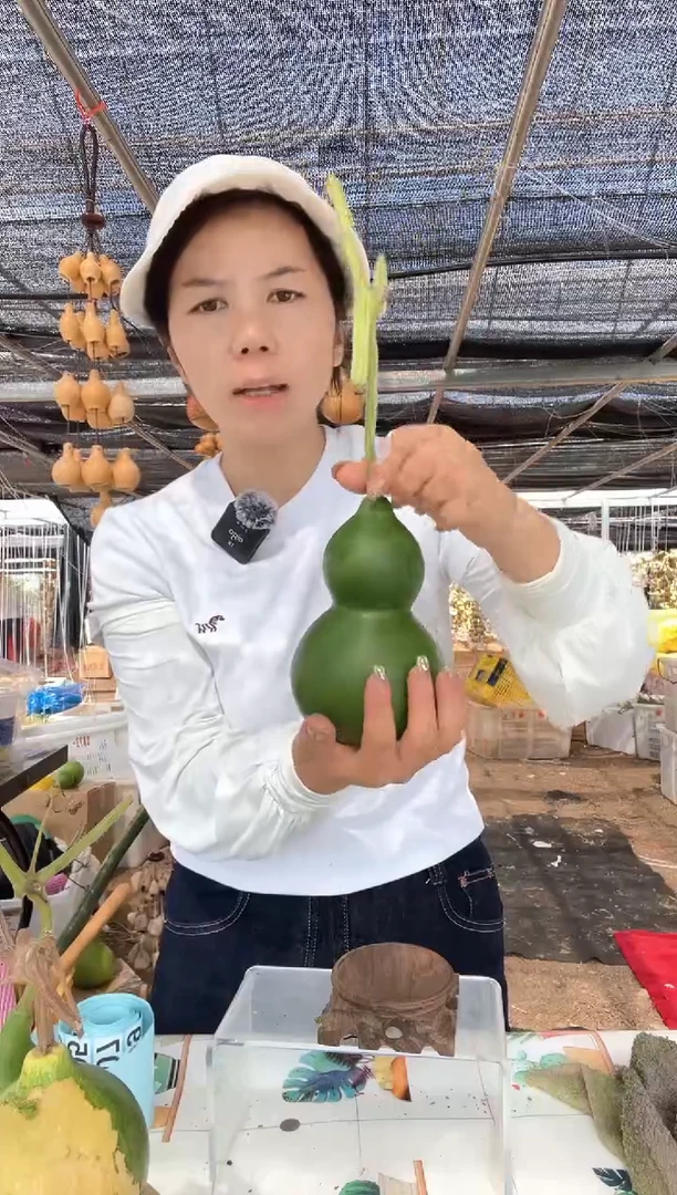 693天然葫芦摆件 一物一拍龙头不保售后