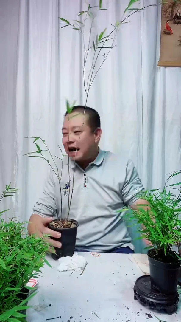 完全开放55555555