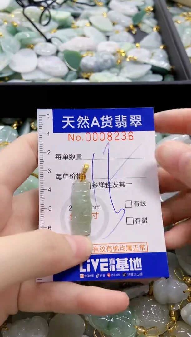 颈饰未镶嵌翡翠天然A货翡翠