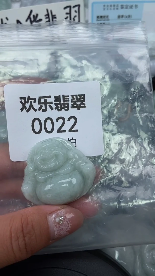 颈饰未镶嵌翡翠缅甸天然翡翠0022