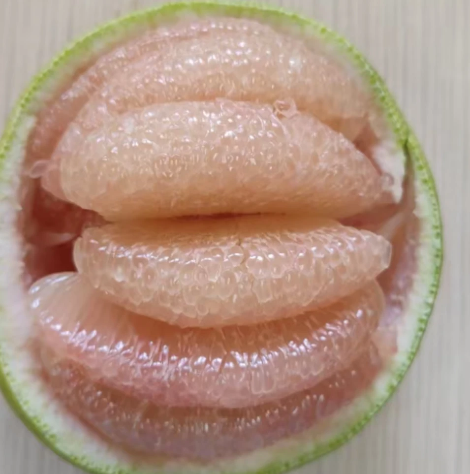 福建仙游度尾文旦柚新鲜应季孕妇水果酸甜多汁