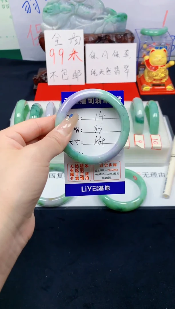 未镶嵌手镯翡翠14