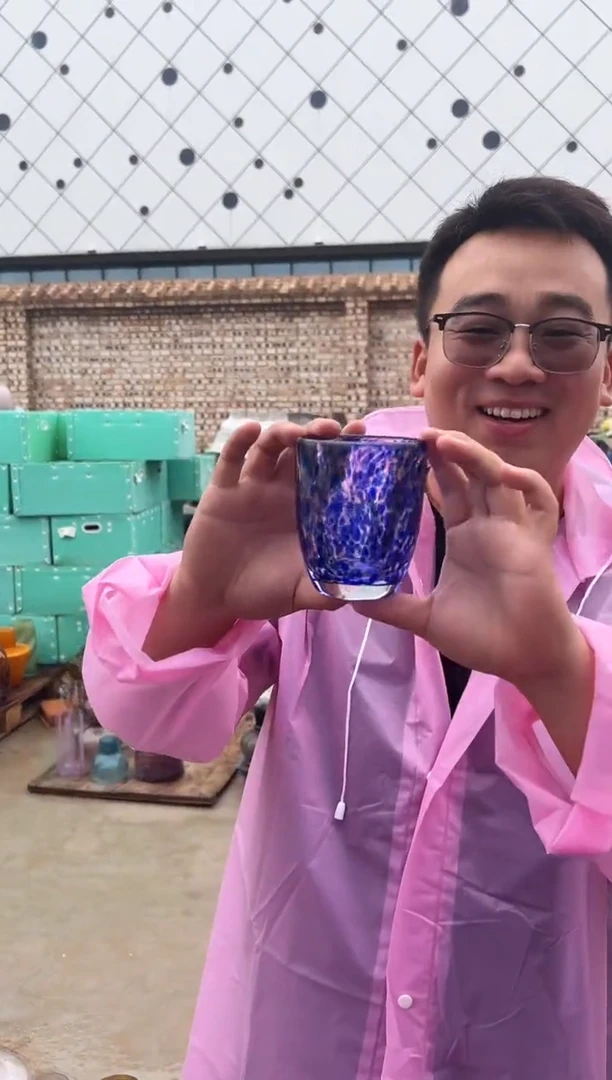 花瓶客厅餐桌插花装饰好物两支