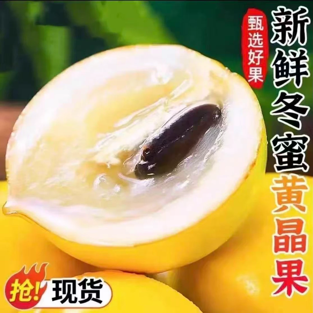 【顺丰包邮】云南稀有牛奶黄晶果冬蜜现摘黄宝石孕妇版纳高端水果