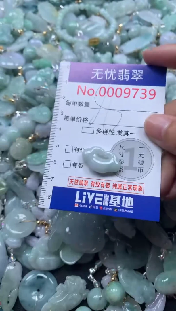 颈饰未镶嵌翡翠9739