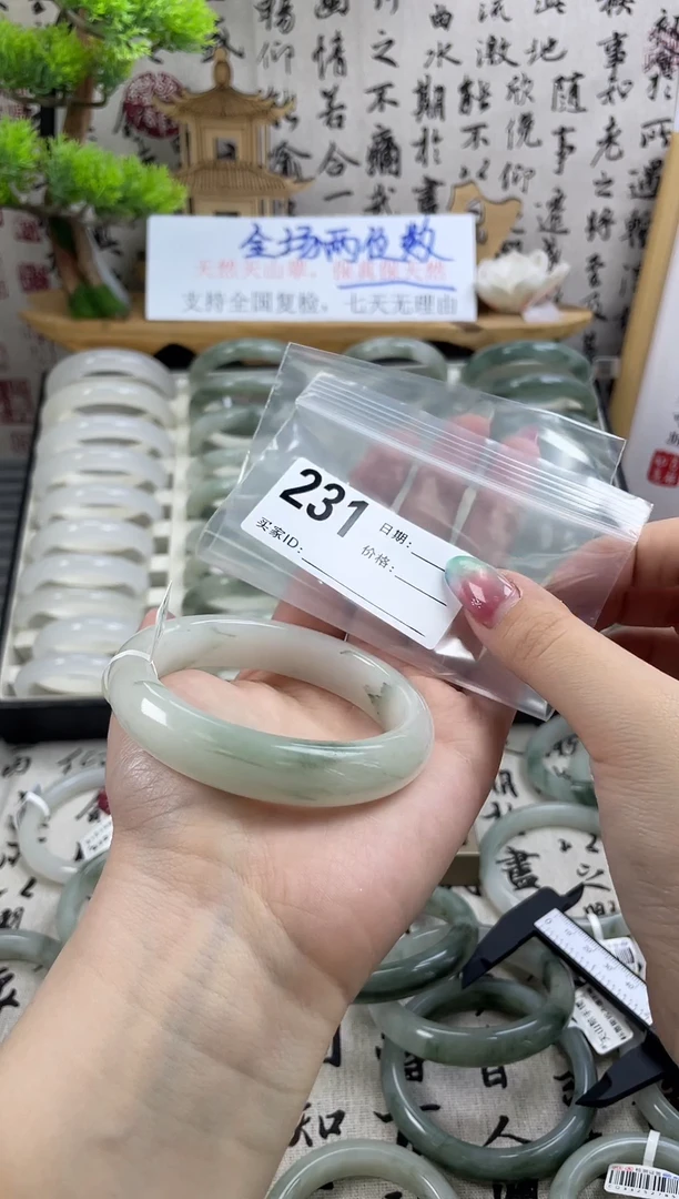 石英质玉（天山翠）手镯未镶嵌231