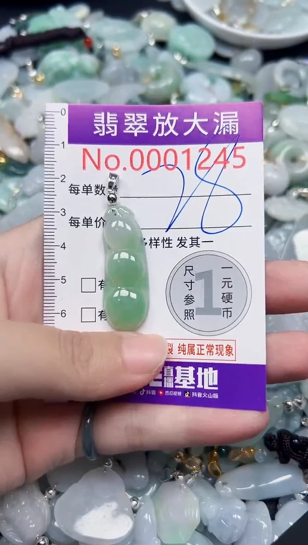 颈饰未镶嵌翡翠1245