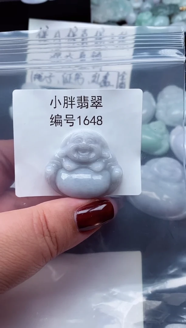 颈饰未镶嵌翡翠缅甸天然A货翡翠1648