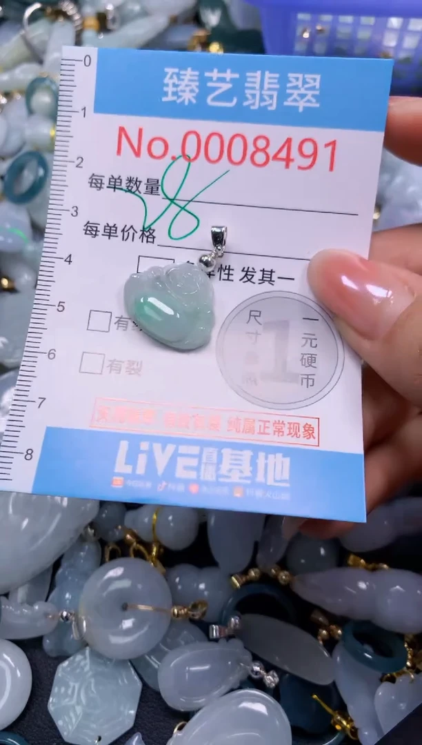 颈饰未镶嵌翡翠8491