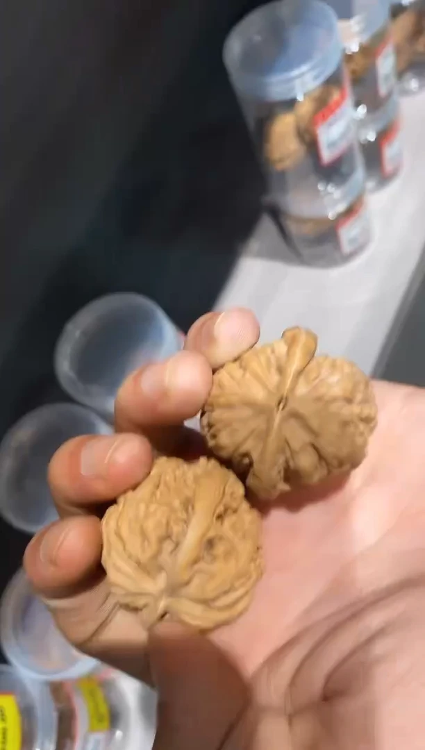 文玩核桃把件全品蚂蚁王35-36