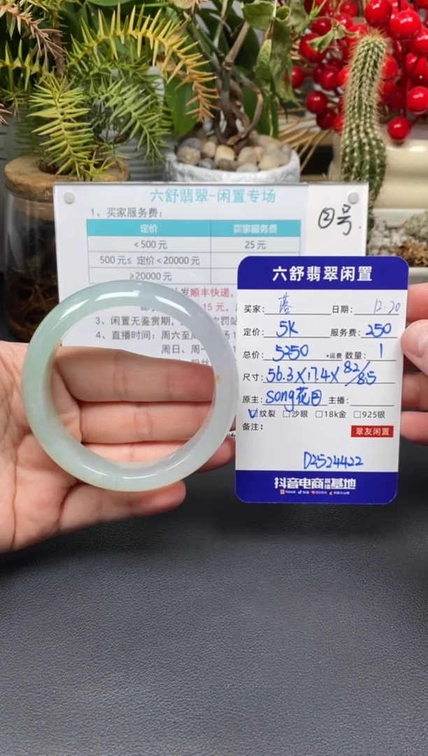 未镶嵌手镯翡翠落**?D2524422