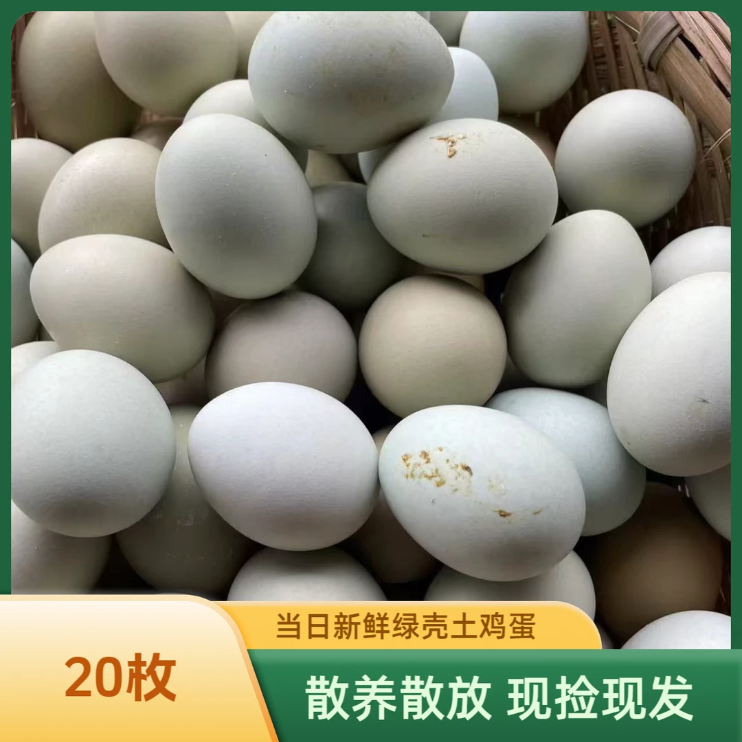 20枚绿壳乌鸡蛋农家散养散放现捡现发