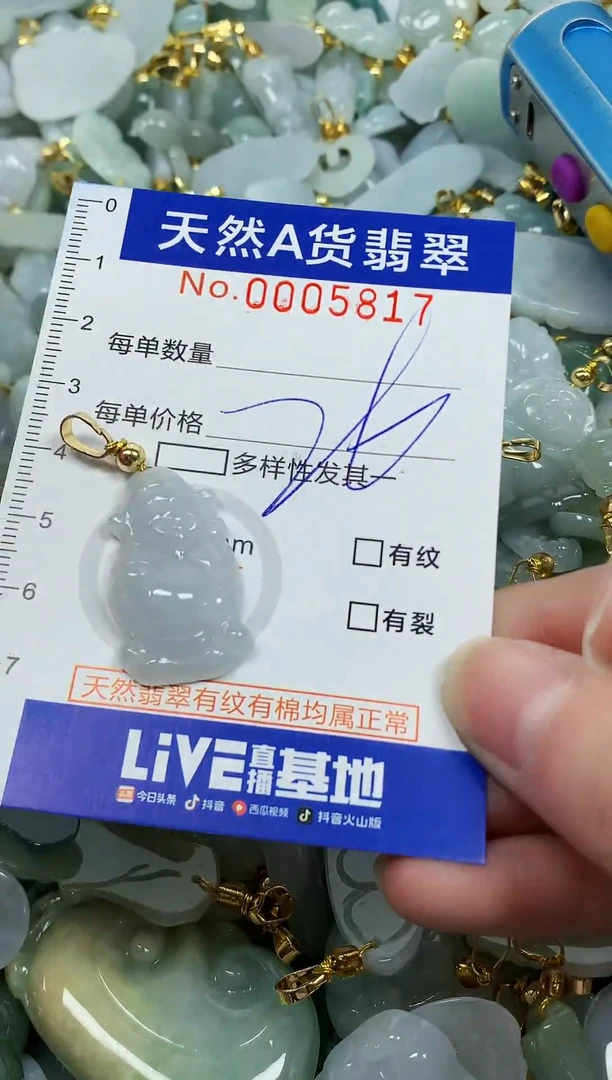 颈饰未镶嵌翡翠纯天然a货翡翠