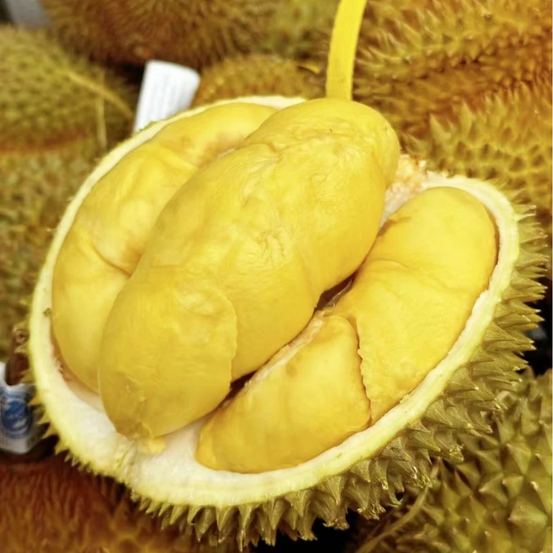 双A级树熟新鲜榴莲当季限定高端品种单个盲盒3.5-6.5斤顺丰次日达核小干尧越南社会主义共和国