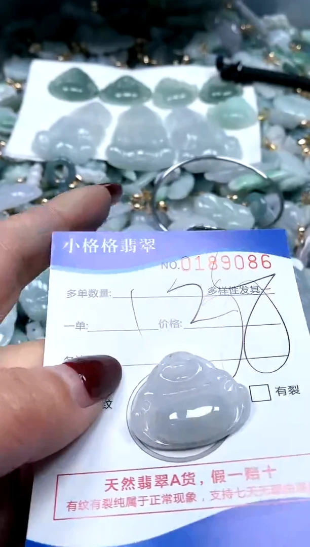 【闪购商品】翡翠颈饰未镶嵌闪购商品0189086