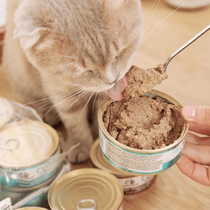 明盒福利惊喜集合链接