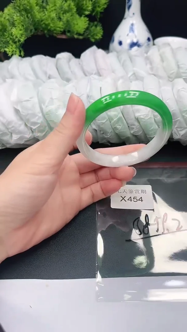未镶嵌手镯翡翠454