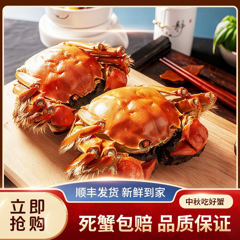 【6两蟹王 包活到家】苏州阳澄精品大闸蟹礼盒装公蟹6两2只顺丰冷链