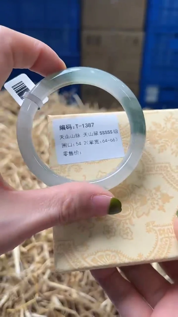 未镶嵌手镯石英质玉T1387