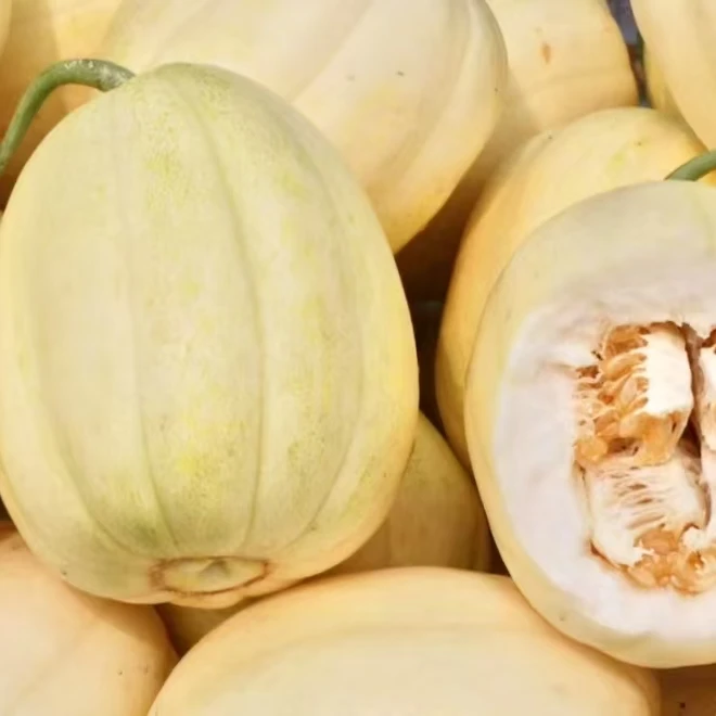 金飞香瓜 香甜美味 4斤净果【阿班果业】