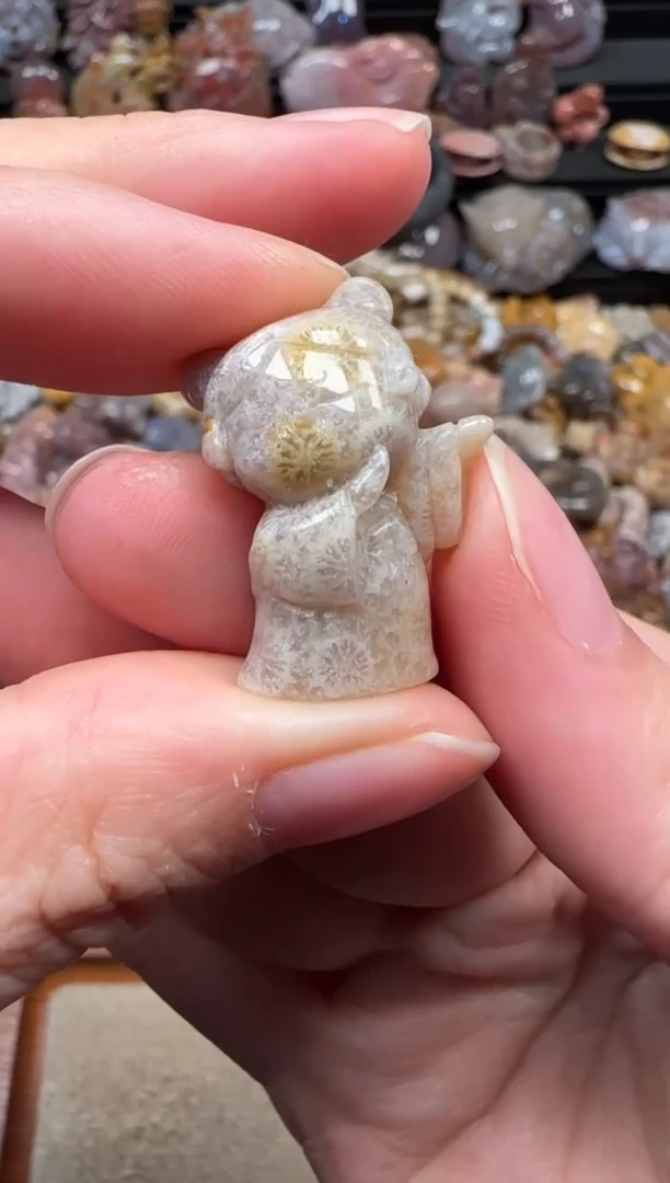 颈饰未镶嵌硅化珊瑚（珊瑚玉）716