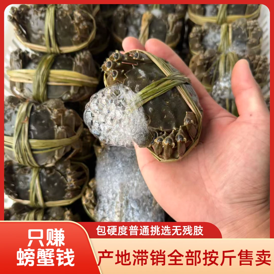 【活蟹】大闸蟹母蟹3.0两-2.8两 8只/10只/12只装 产地直销 可选盒