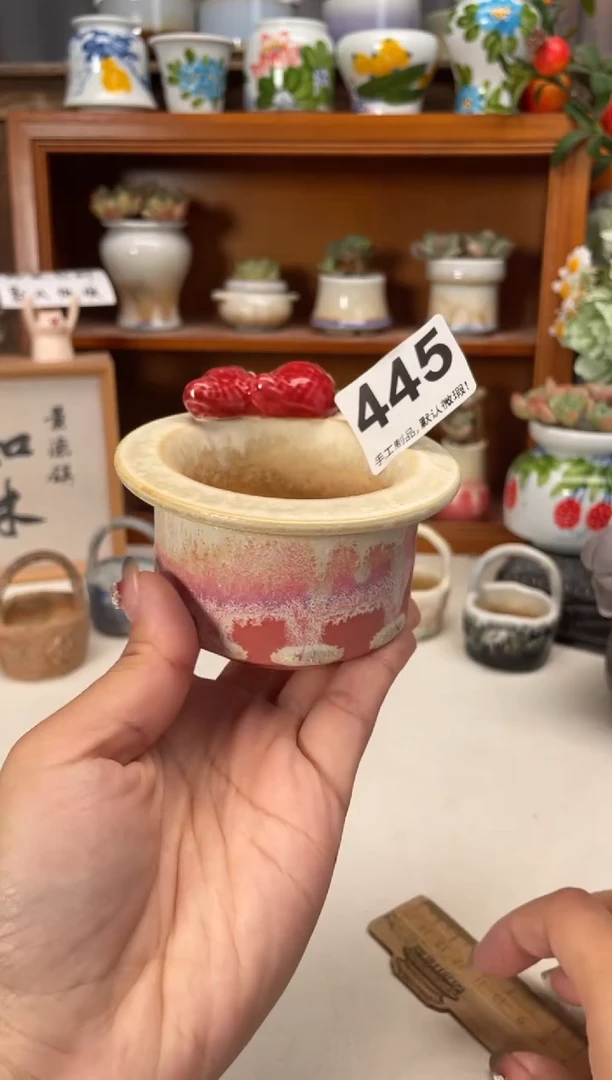 瓷片445小芳直播编号
