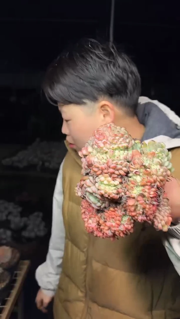 果冻色白胖子缀化6.99