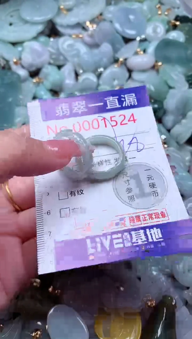 翡翠未镶嵌吊坠(不含链)1524