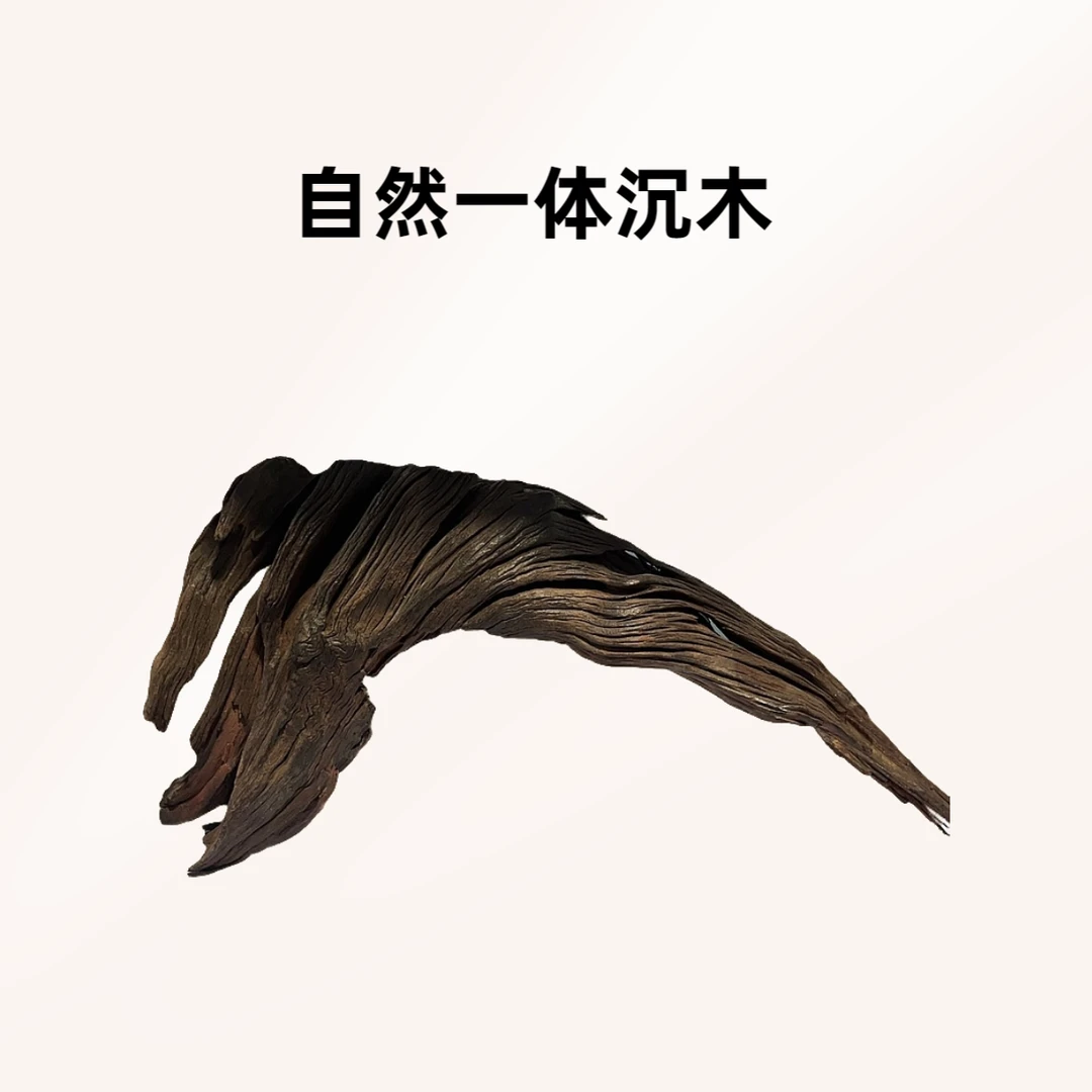 鱼缸造景（一体沉木系列）特价