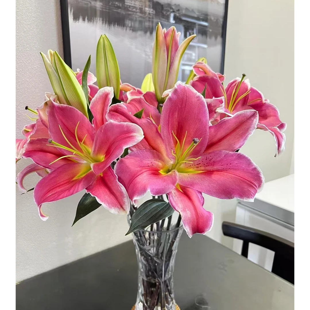 鸿运当头香水鲜花百合