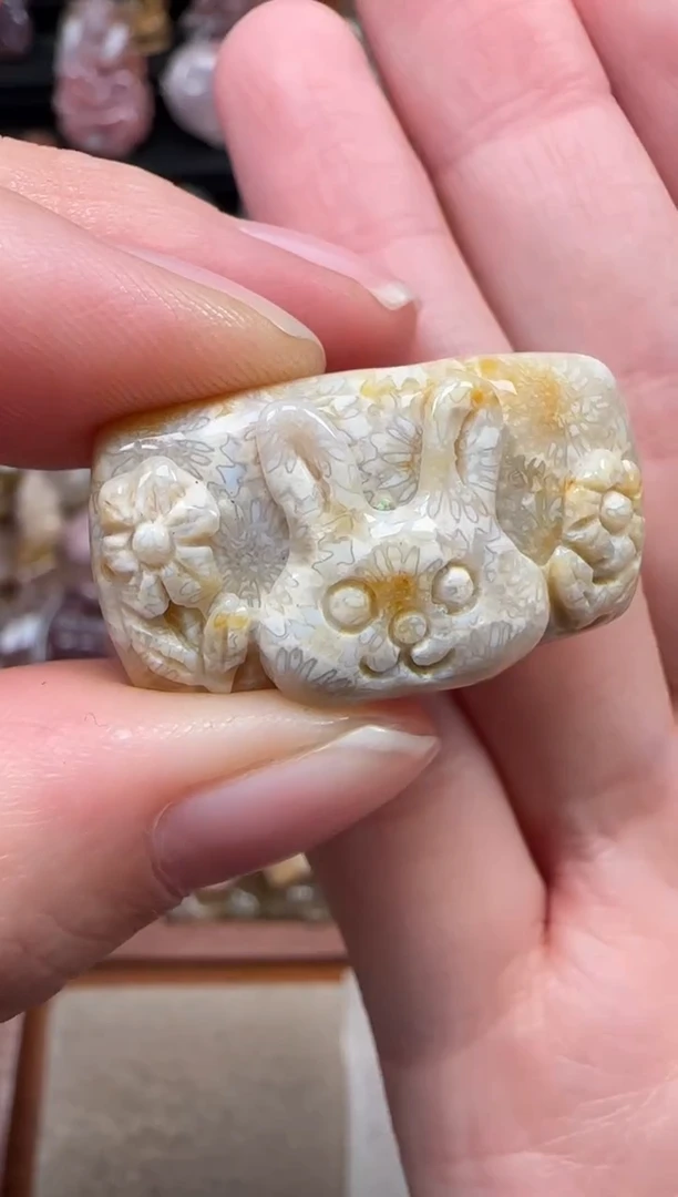 颈饰未镶嵌硅化珊瑚（珊瑚玉）296