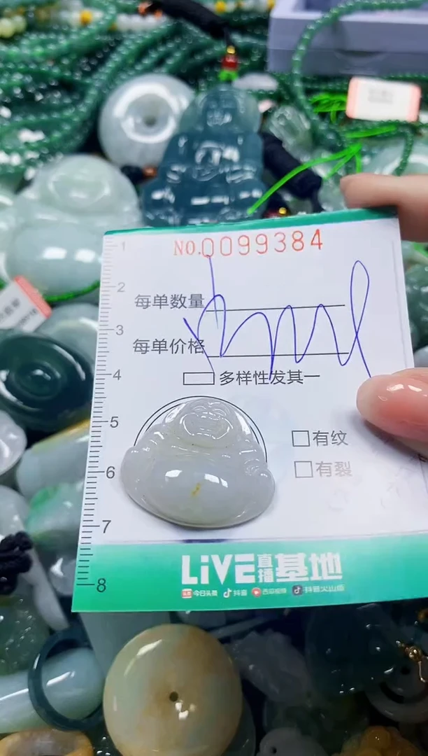 颈饰未镶嵌翡翠翡翠闪购Y0099384