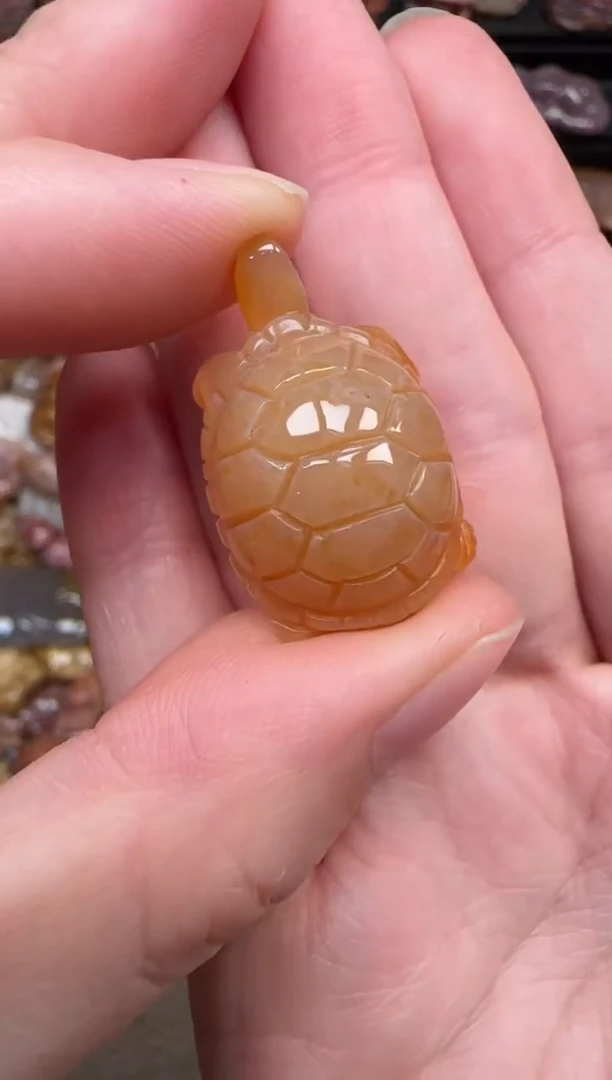 颈饰未镶嵌硅化珊瑚（珊瑚玉）118