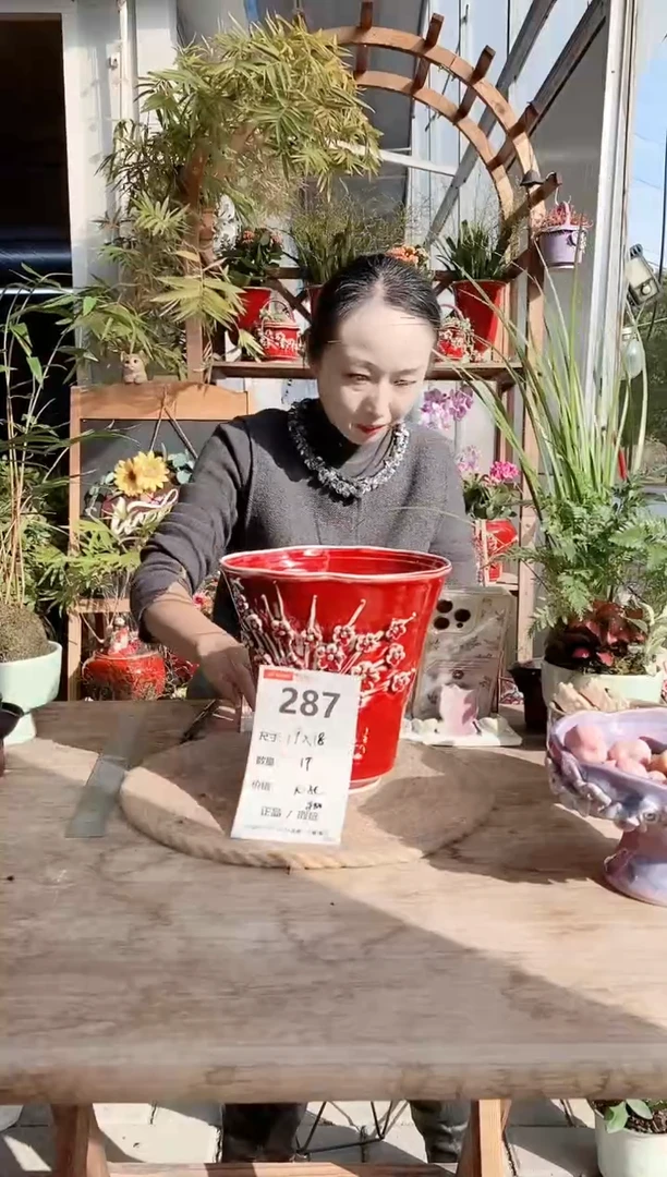 小玩子花盆直播编号287
