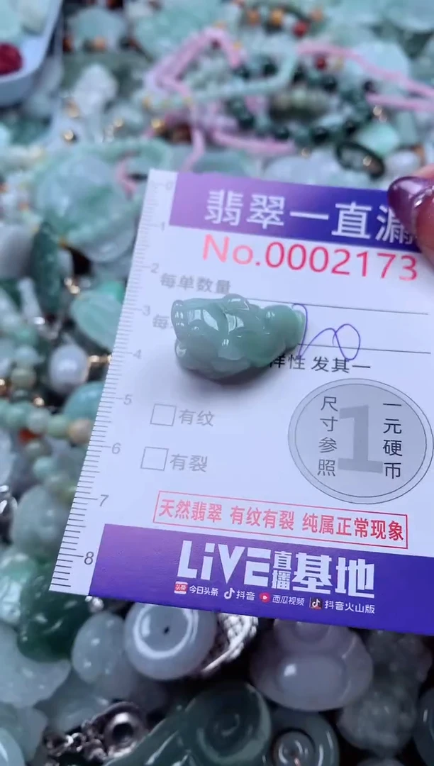 翡翠未镶嵌吊坠(不含链)2173