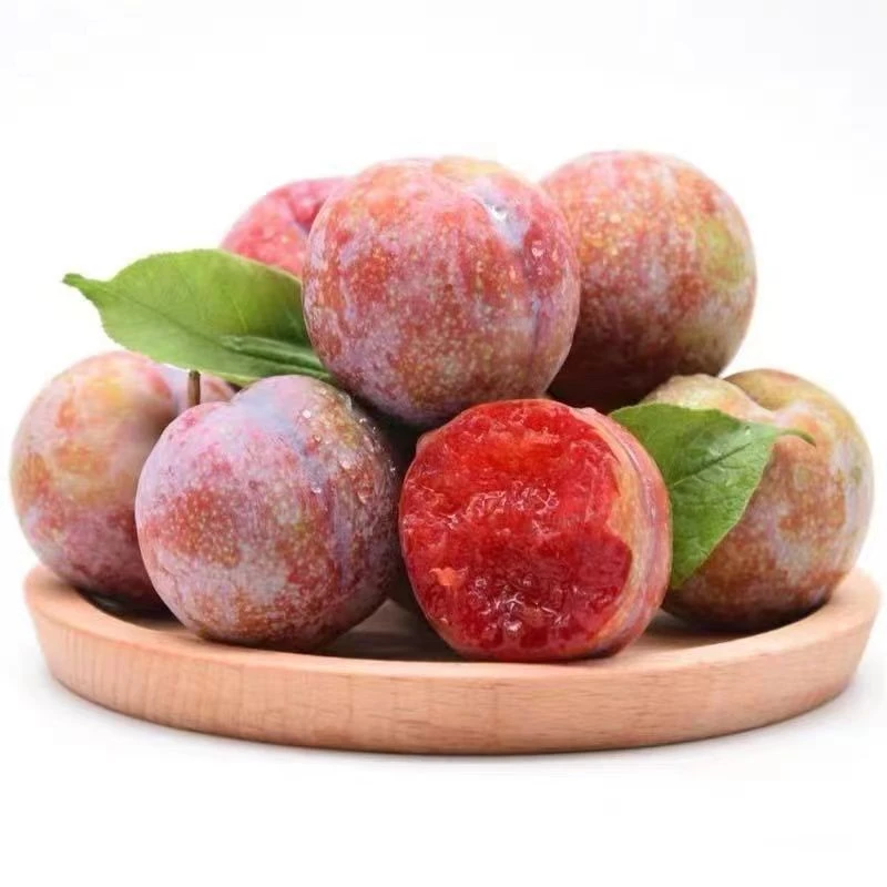 正宗钱排三华李李子新鲜水果红心孕妇酸李子现摘当季直发新鲜广东省