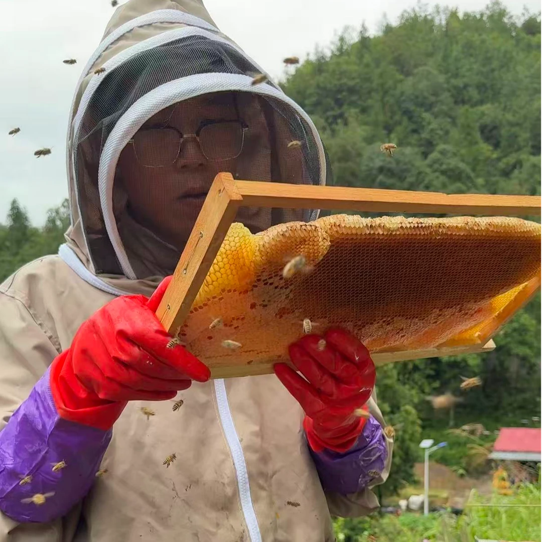 【山里的庆娃】一年取一次百花土蜂蜜瓶装500g