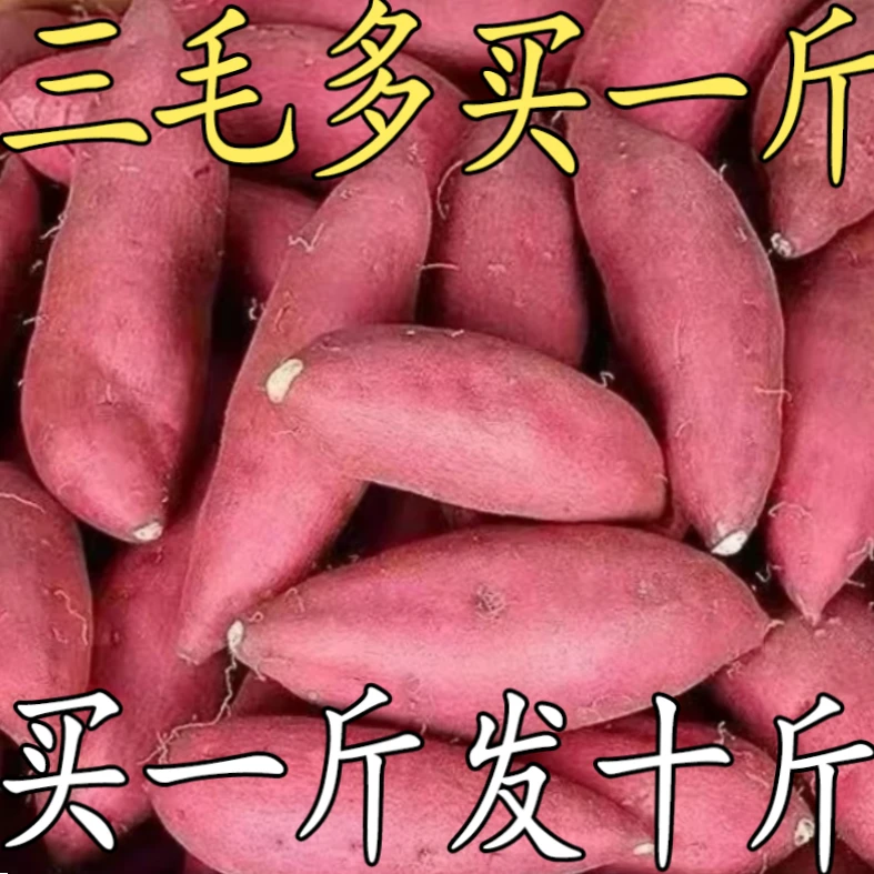 【糖心蜜薯】超甜蜜薯新鲜蜜薯正宗黄心板栗薯番薯地瓜烟薯