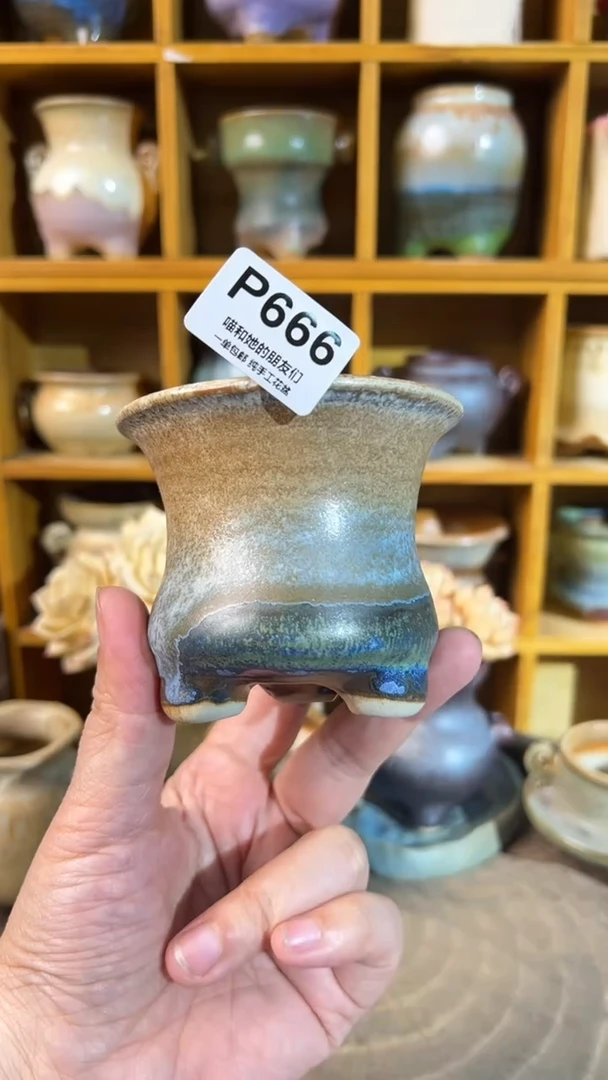 666 内口7【多肉花盆多肉盆】