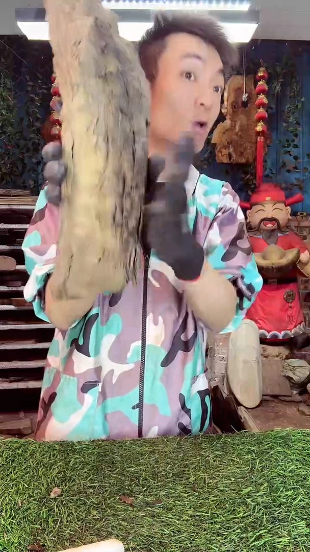 金丝楠小叶桢楠555