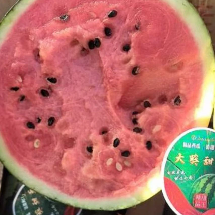 【苒果铺特惠】海南空运麒麟西瓜一颗装（5~9斤左右 ）西瓜同城配海南省