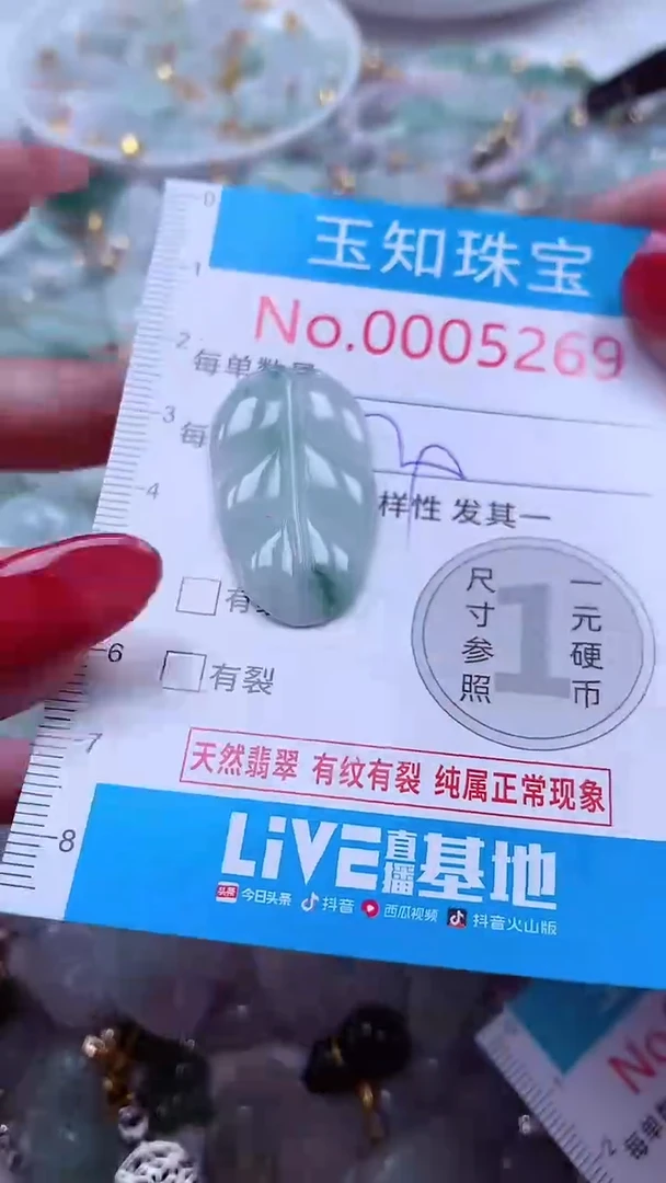 吊坠(不含链)未镶嵌翡翠5269